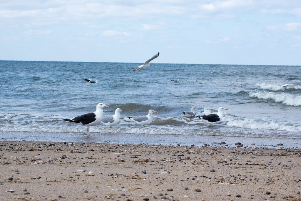 Plage CA-E
