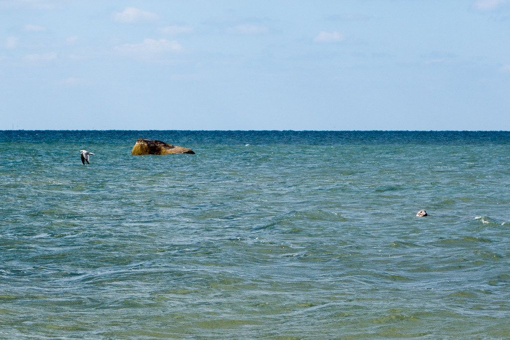 Plage CA-E