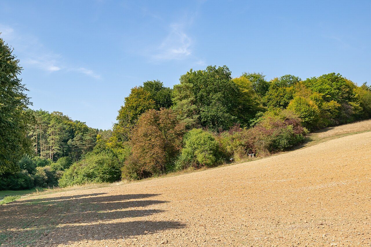 Schalkstal