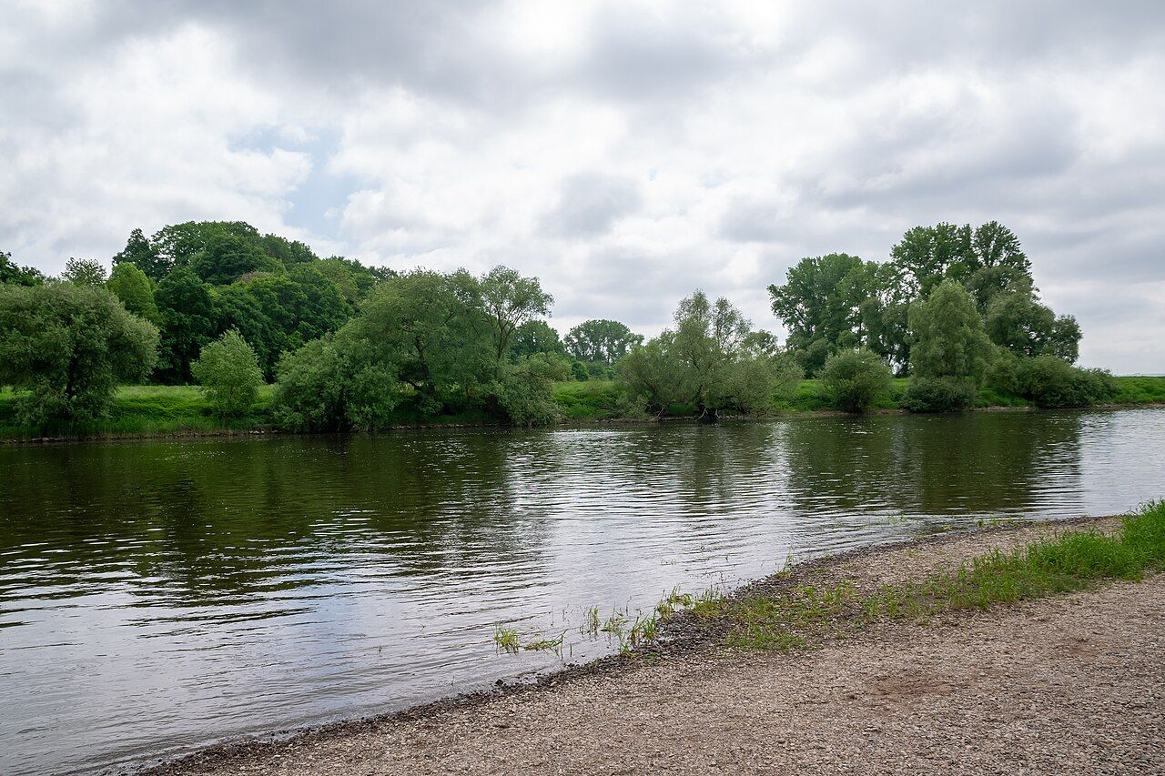 Finkenbruch