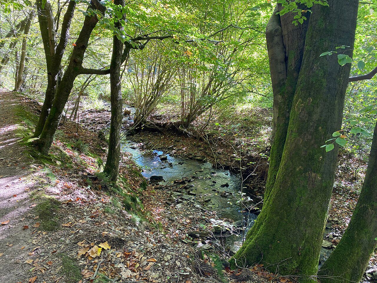 Spreeler Bachtal