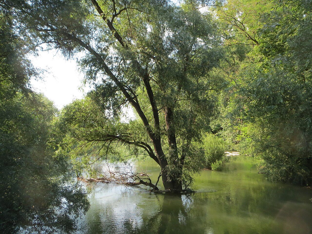 Brückenkopf