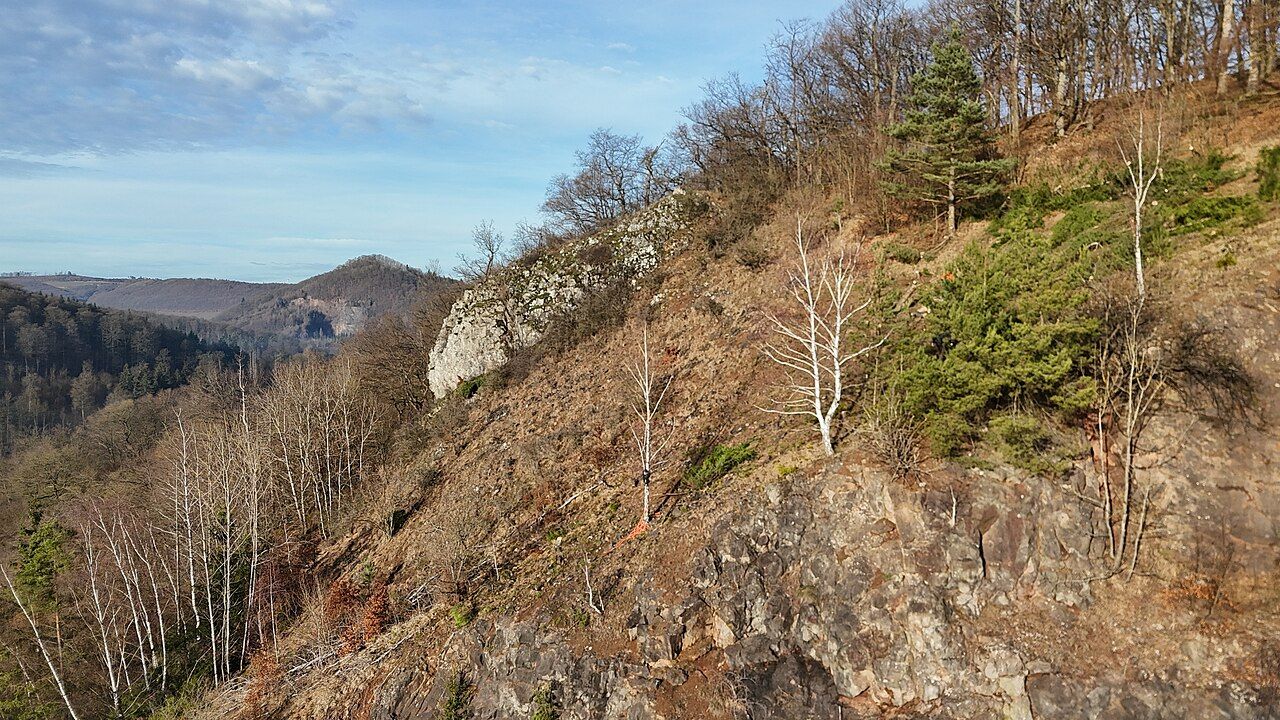 Padberg