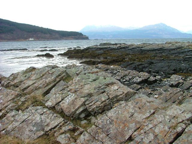 Reef GB-EXT