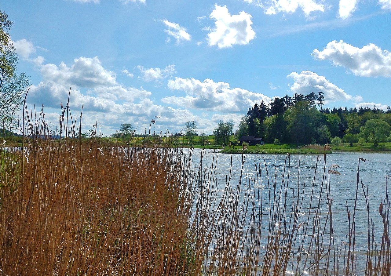 Linsenbergweiher