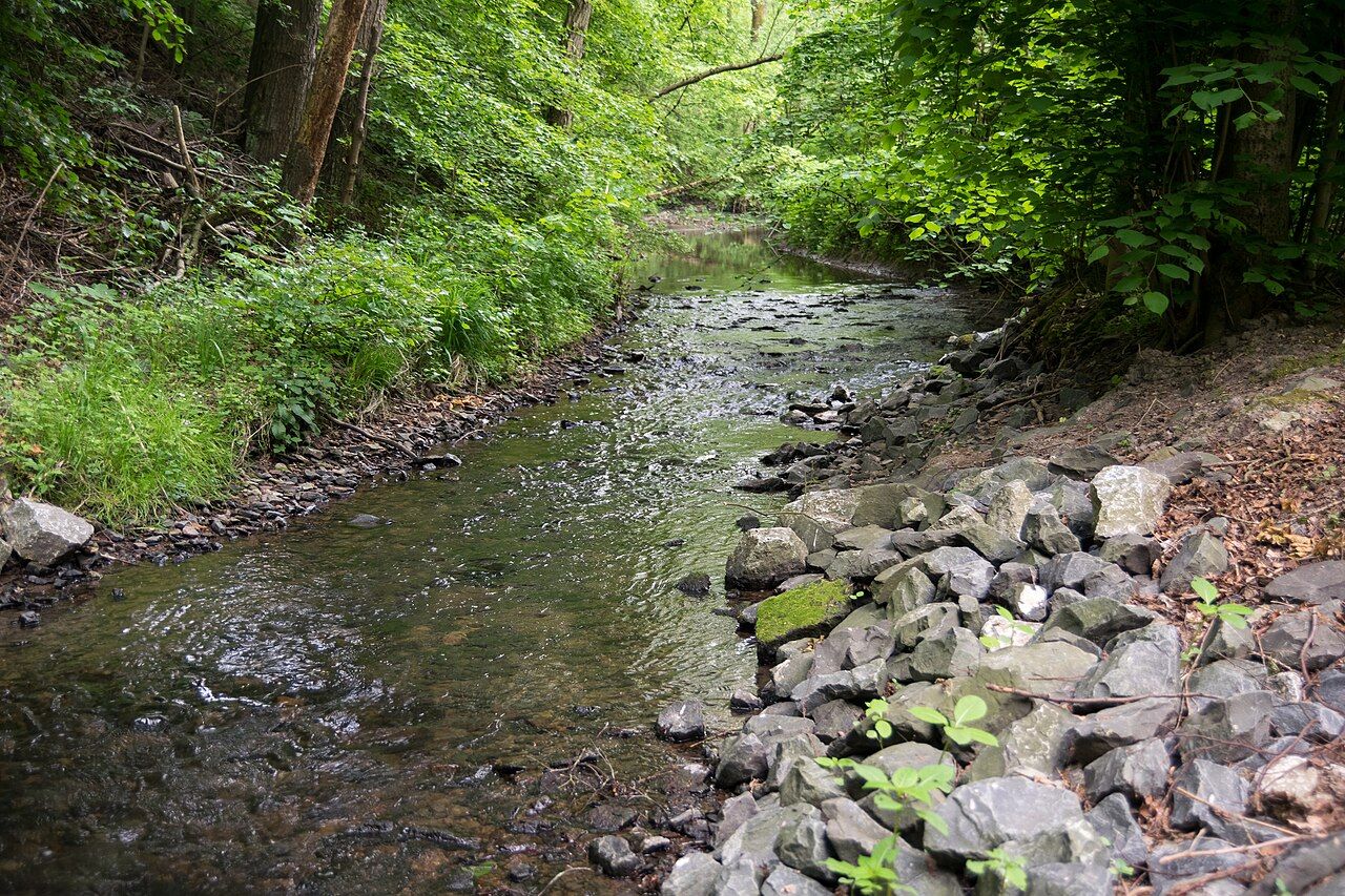 Ilsenbach