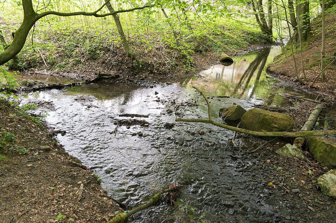 Menkhauser Bachtal mit Schopketal