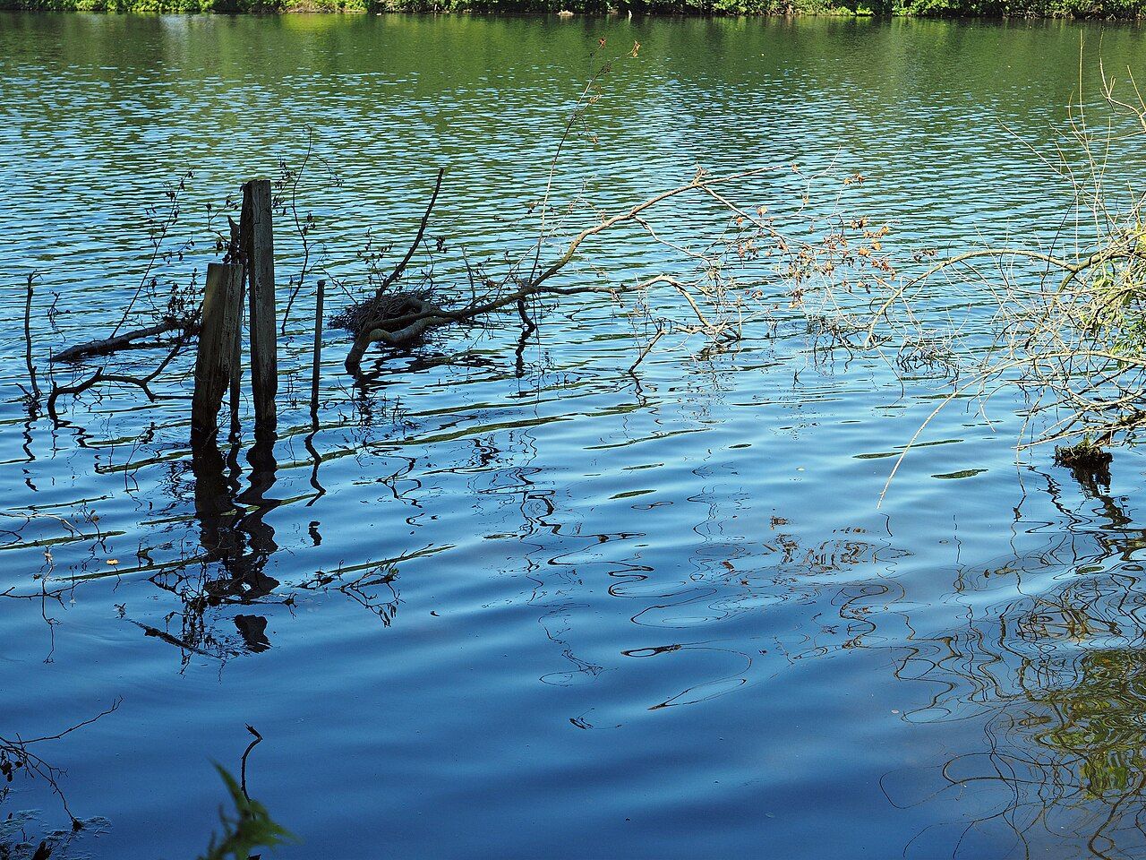 Unterer Breyeller See