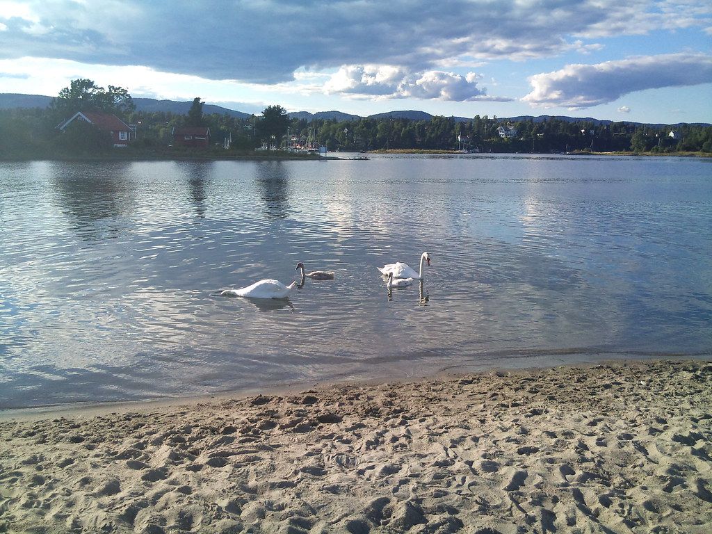 Storøyspissen badeplass