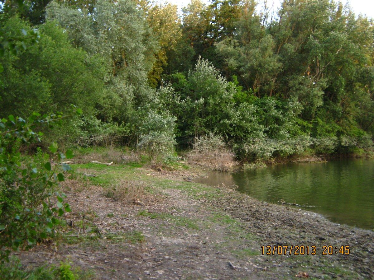 Goldgrund