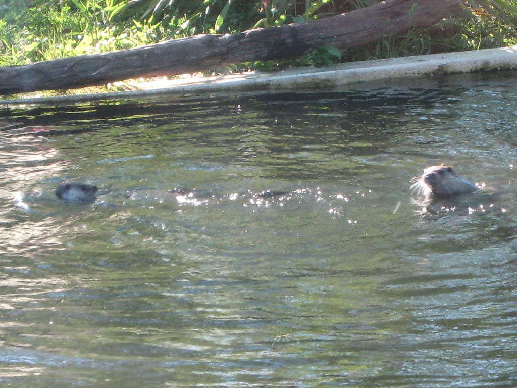 Parque Aquático