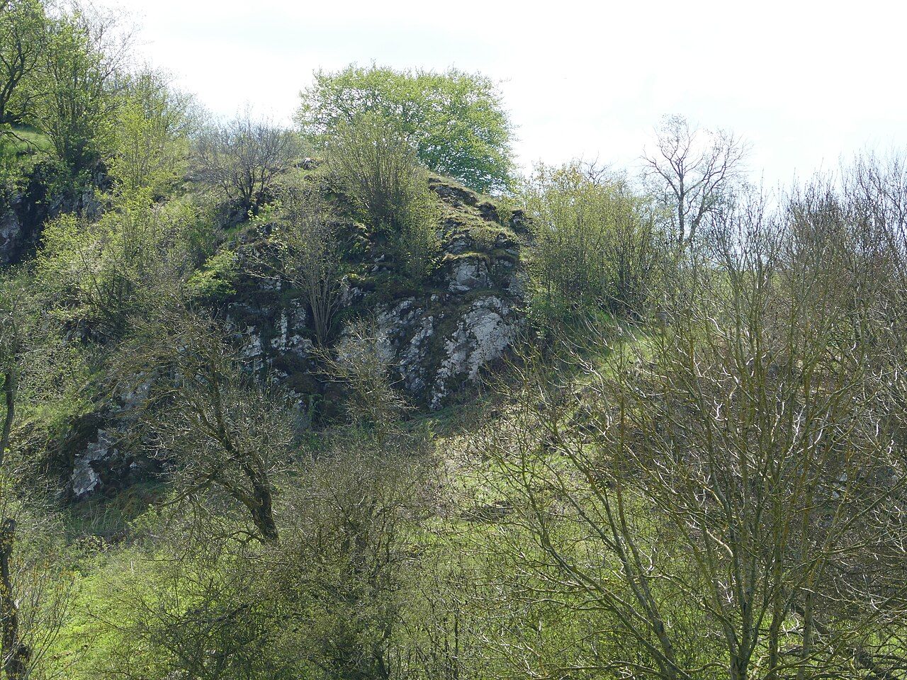 Blumenstein