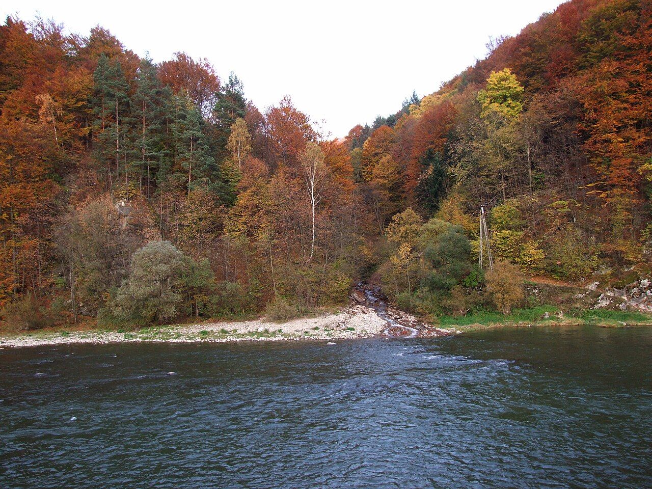 Rezerwat Kłodne nad Dunajcem