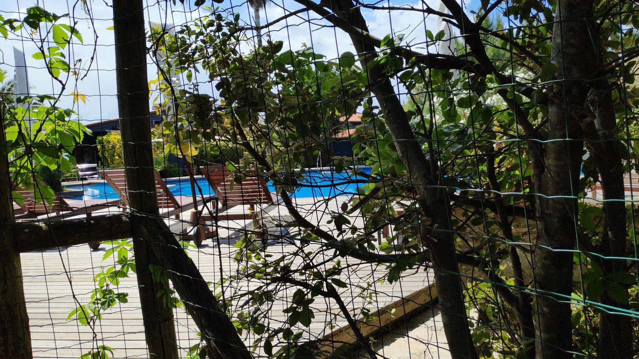 Bagno Carol di Levante