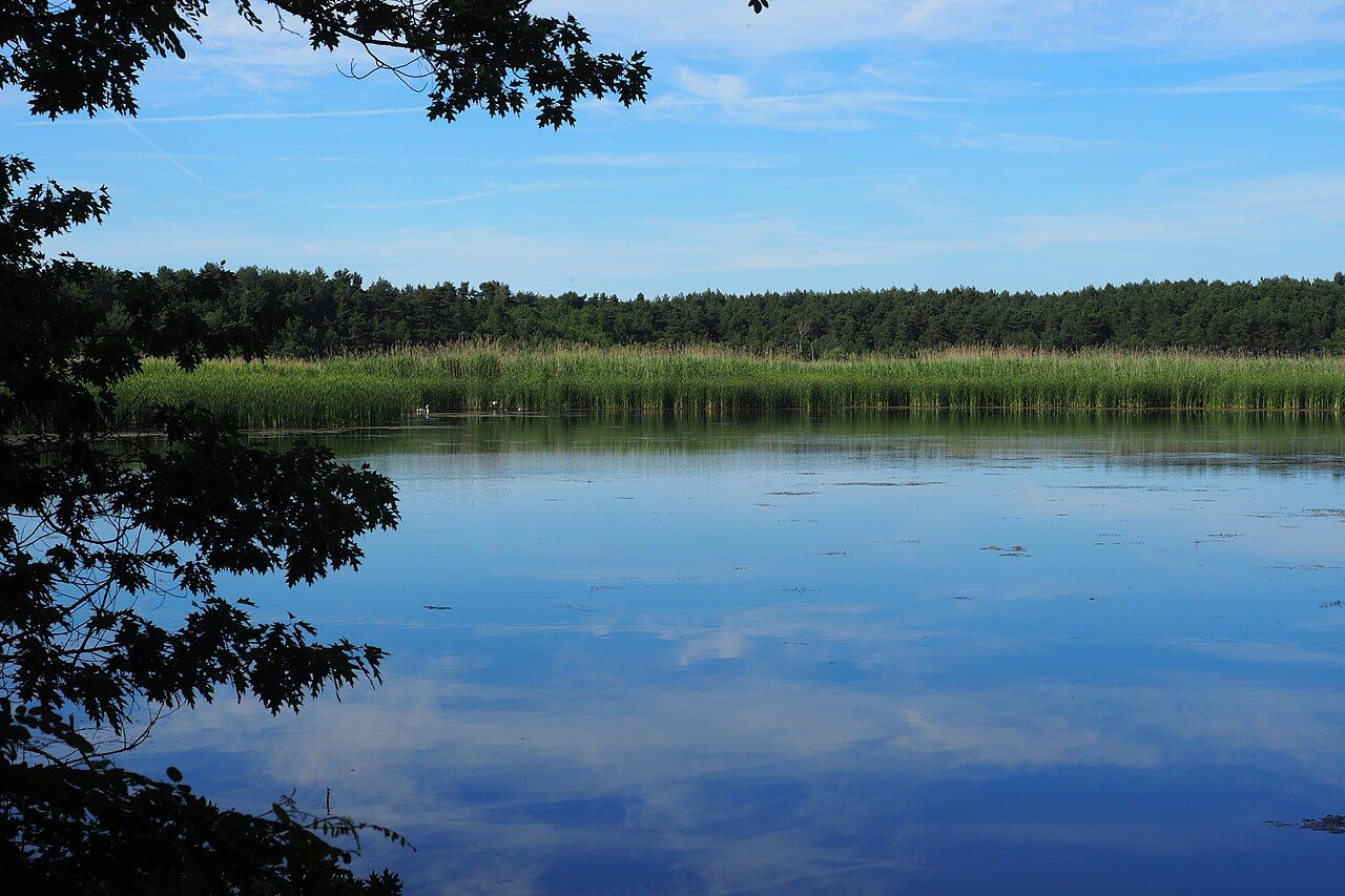 Lugteich bei Grüngräbchen