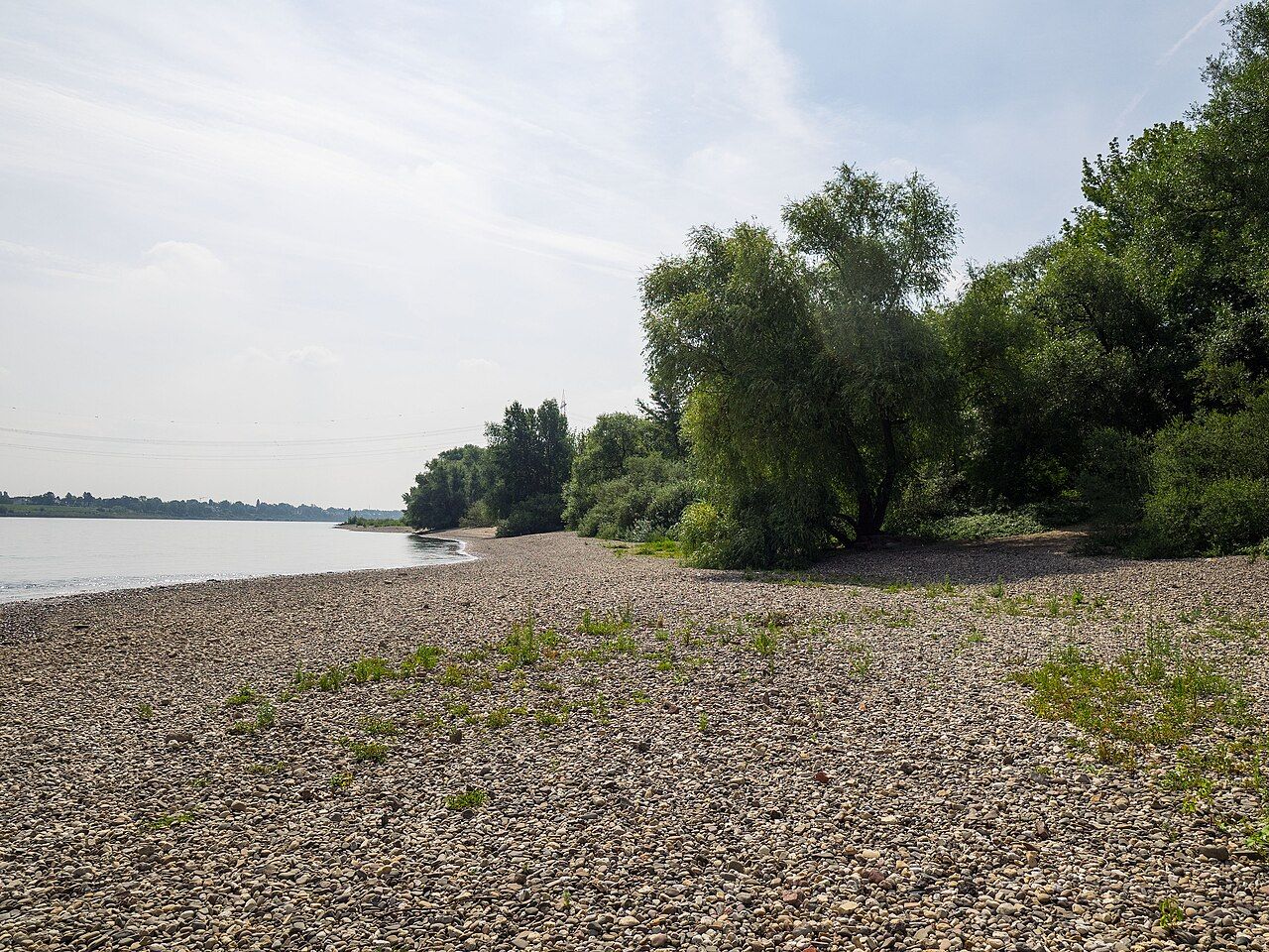 Die Spey