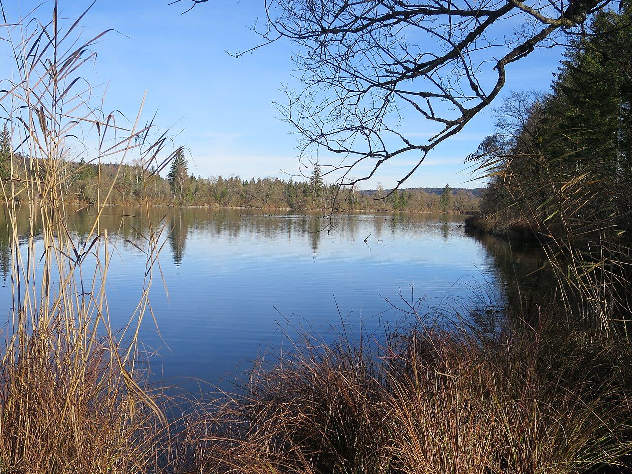 Ickinger Stausee