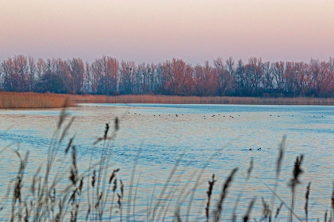 Neolith-Teich