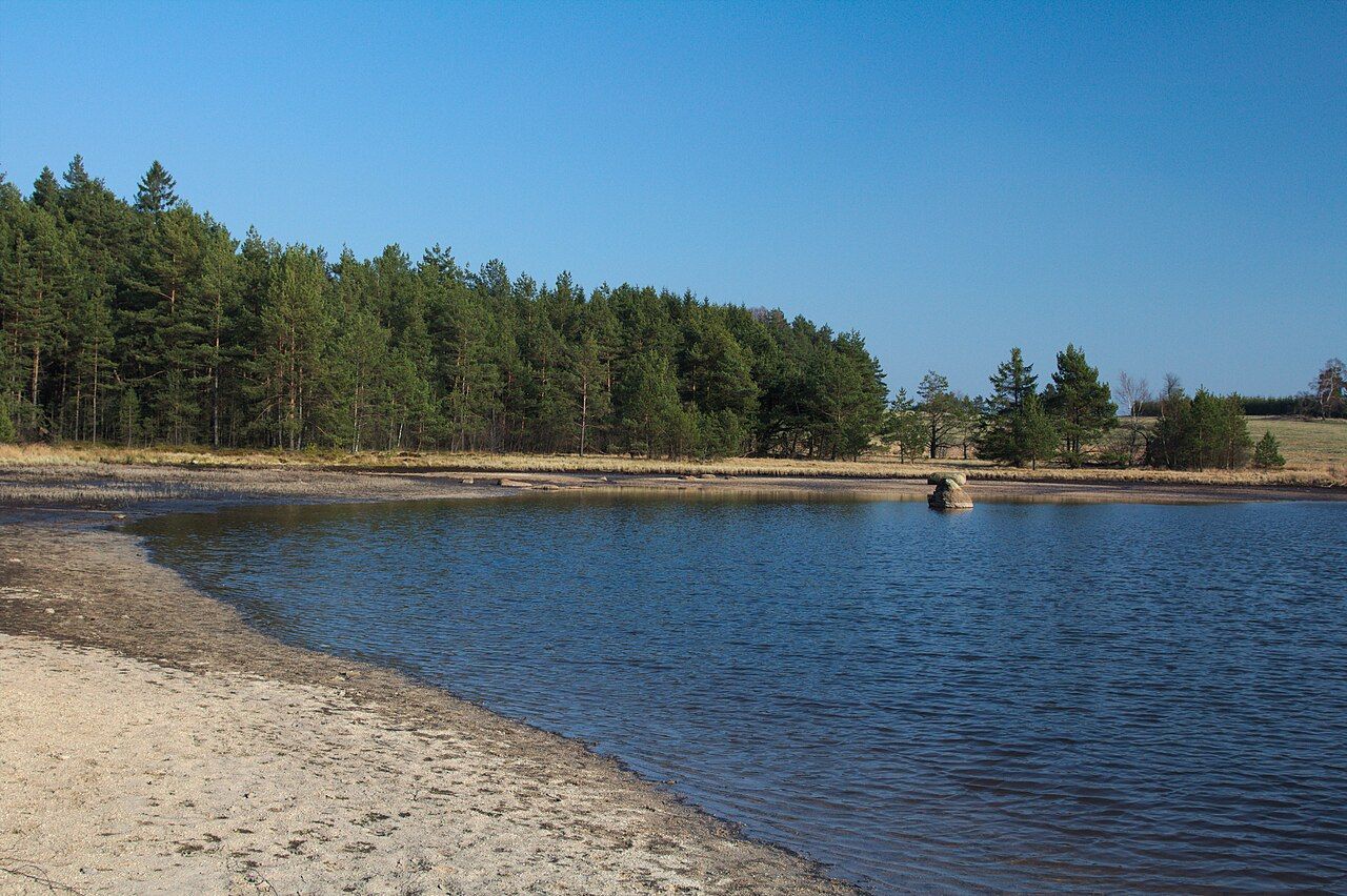 Rašeliniště Mosty
