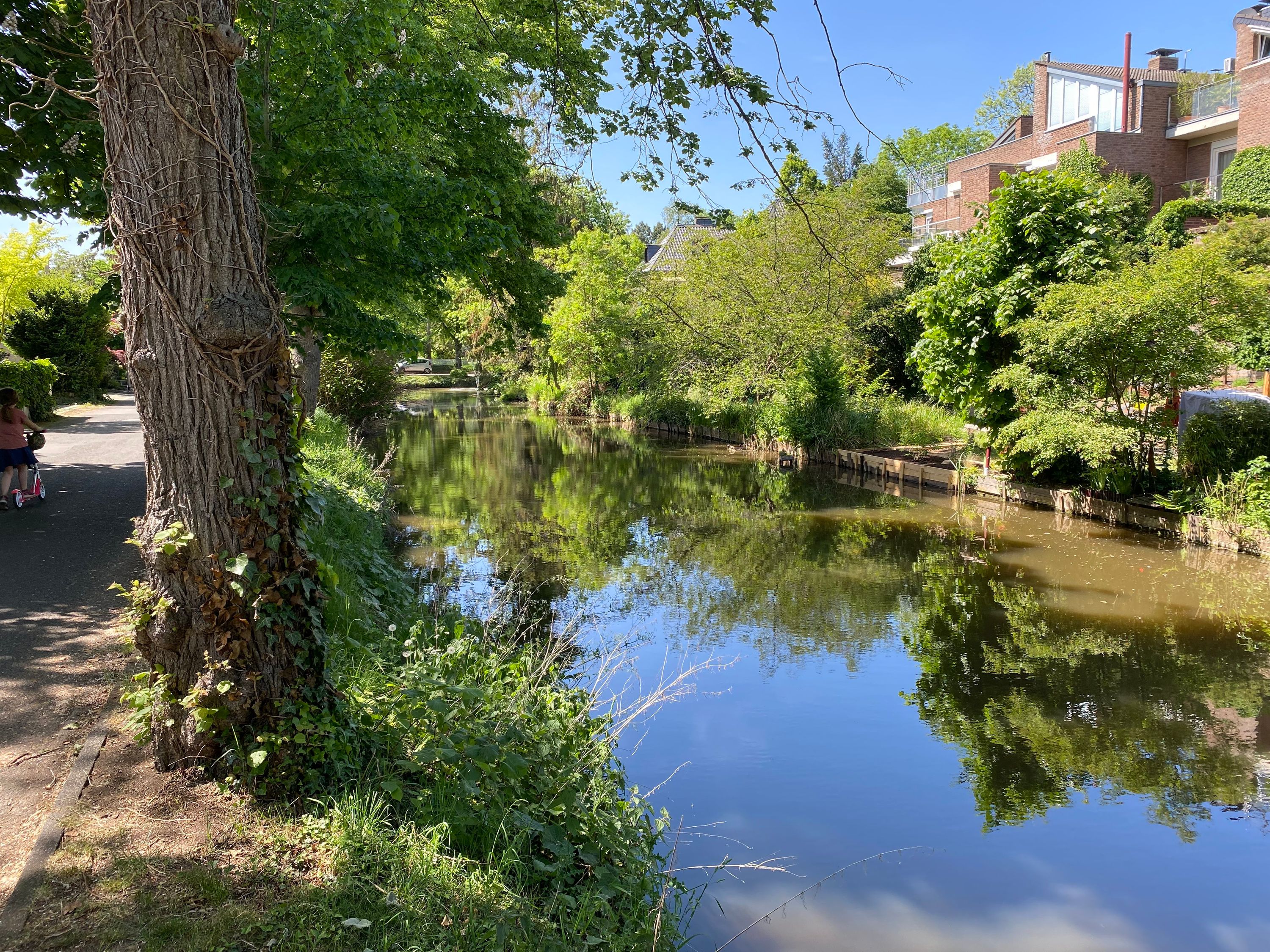 Stadtweiher