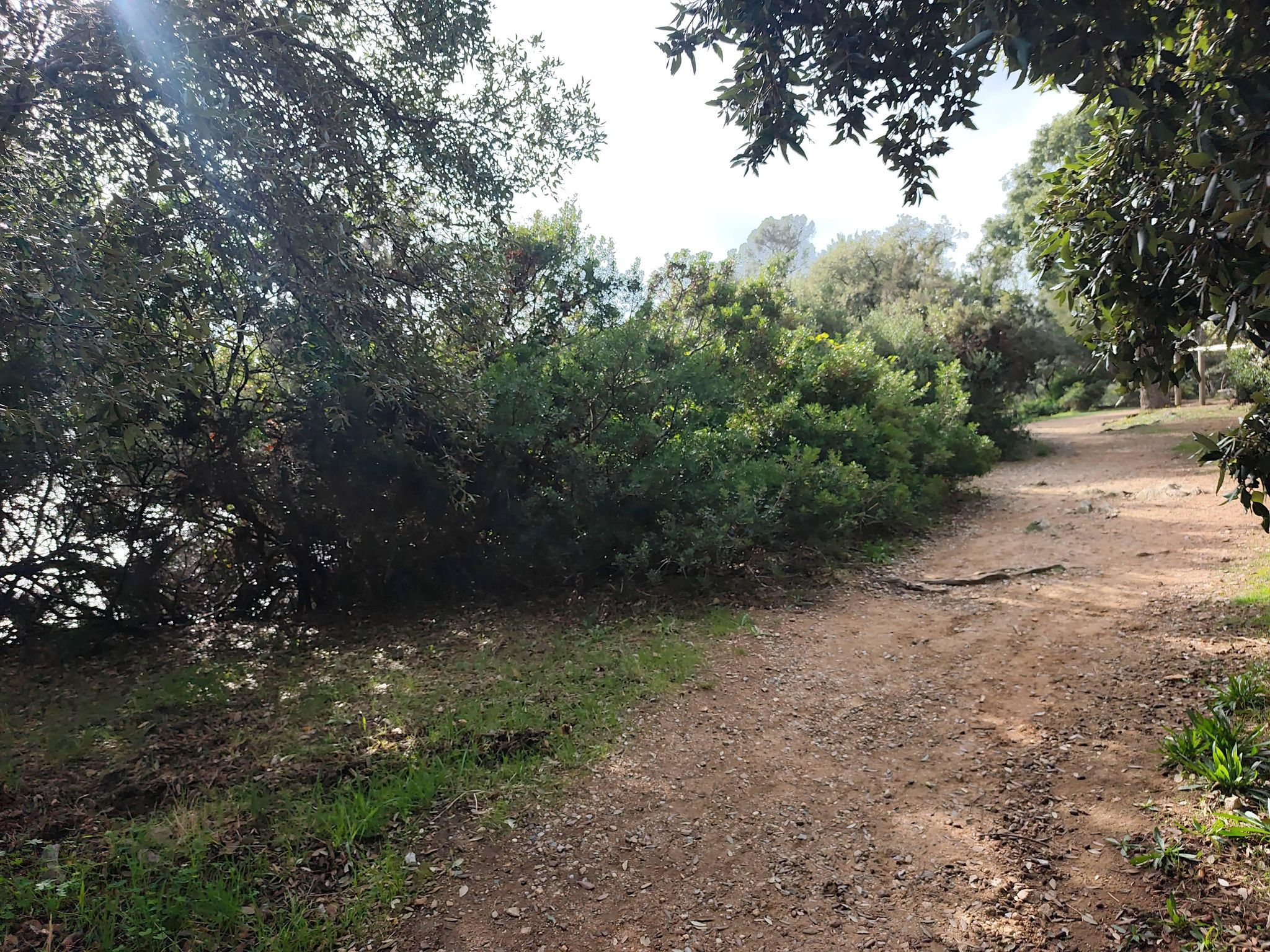 Beach Roquebrune-sur-Argens