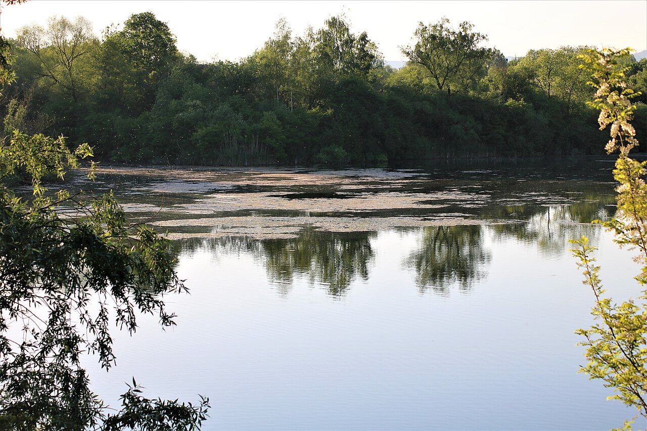 Marine reserve DE-S