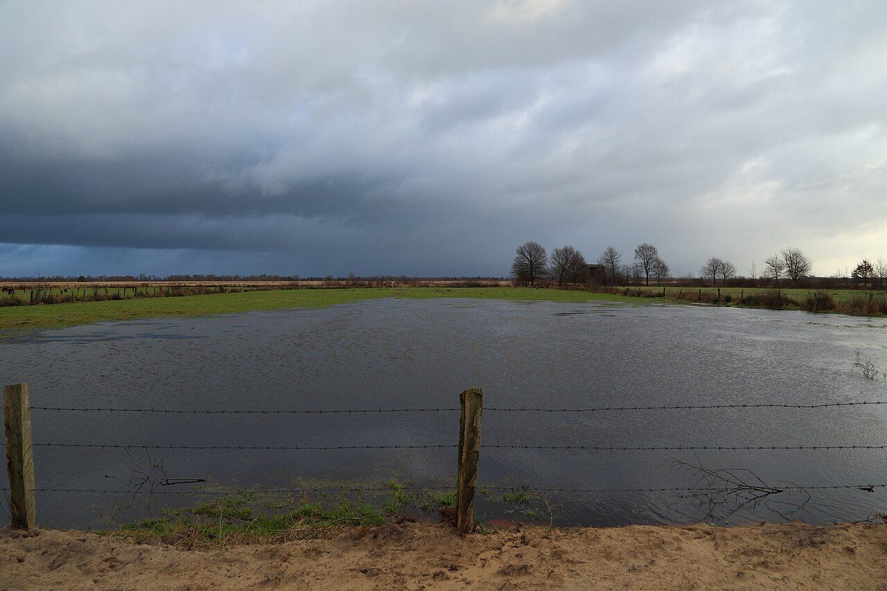 Recker Moor