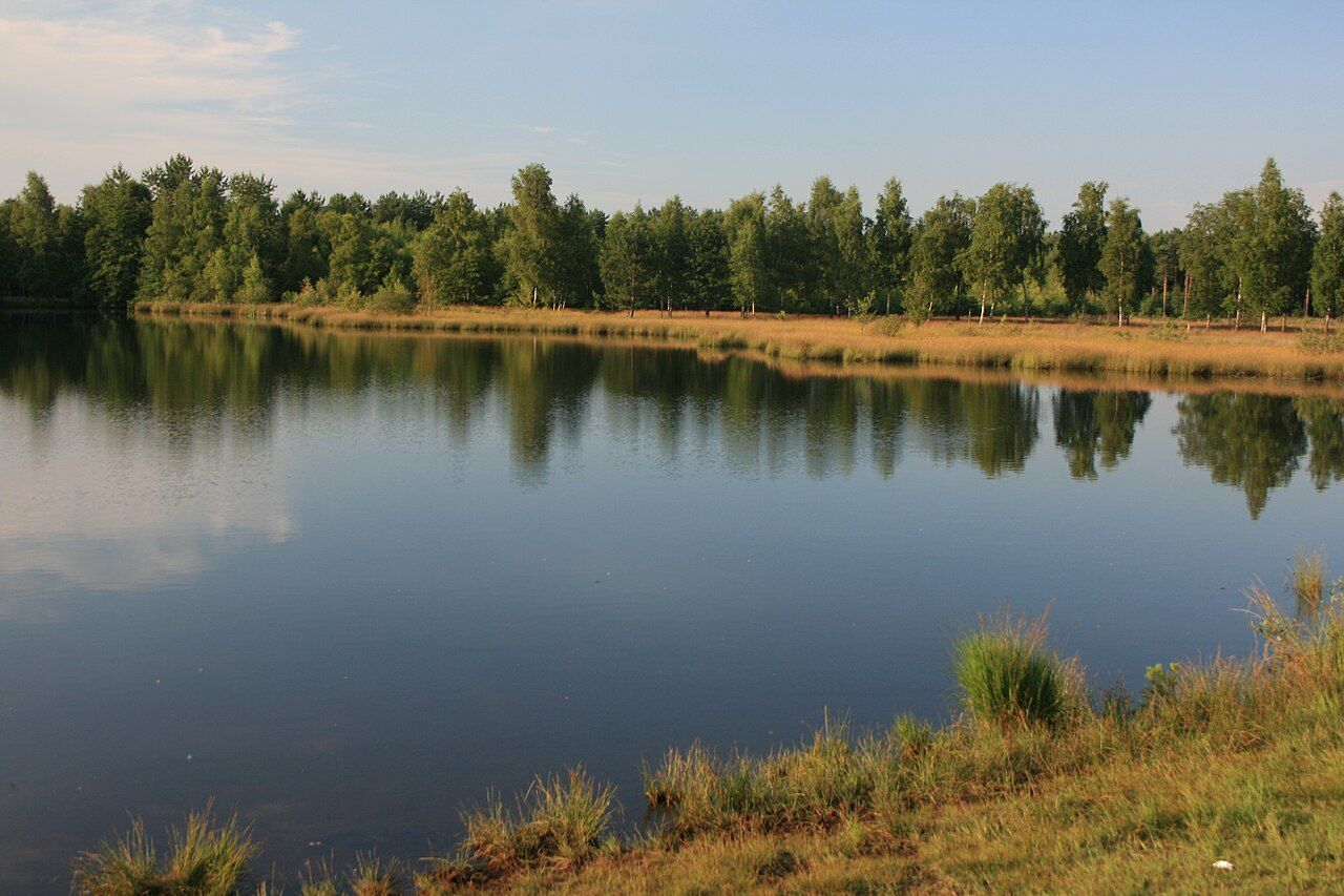 Teverener Heide