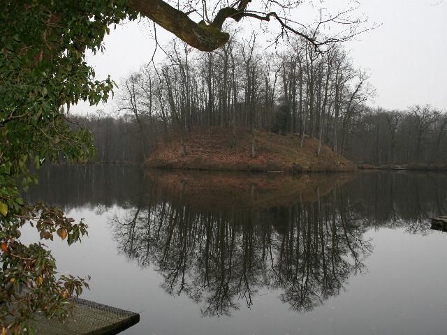 Tüschenbroicher Wald