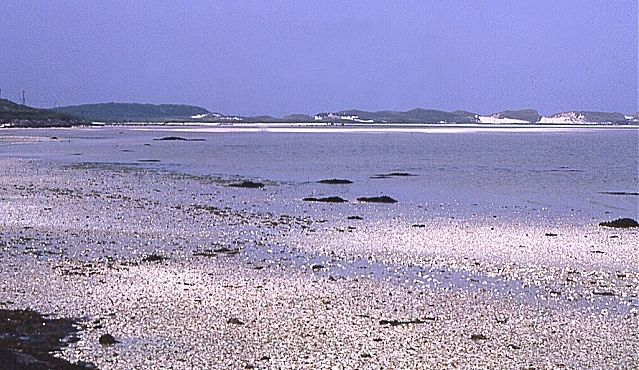Traigh Mhòr