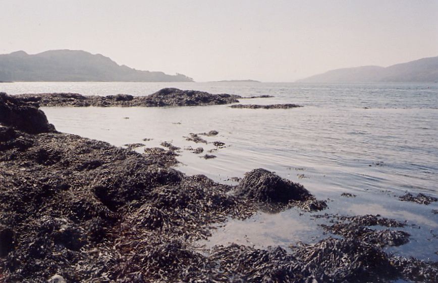 Plage GB-EXT