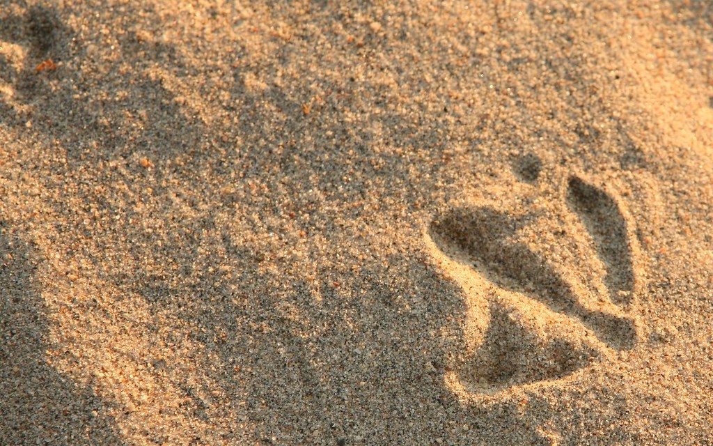 Plage d'Oka