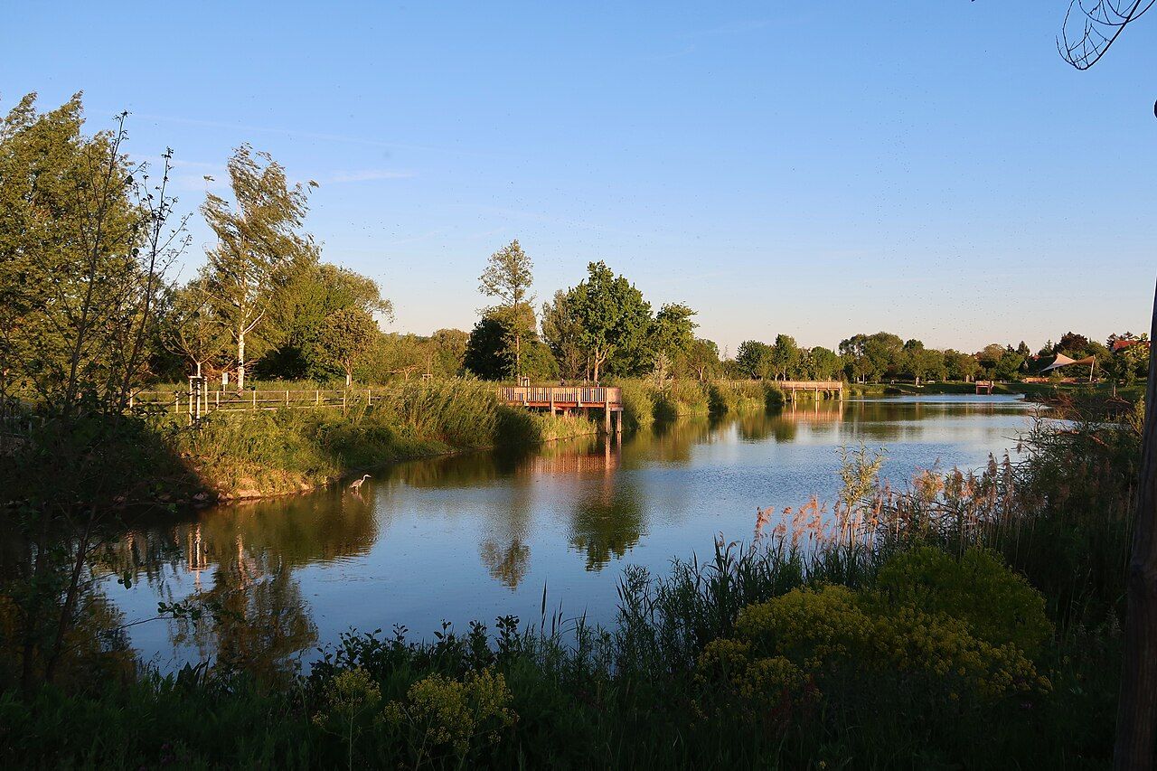 Unterer Neckar: Altneckarschleife-Neckarplatten