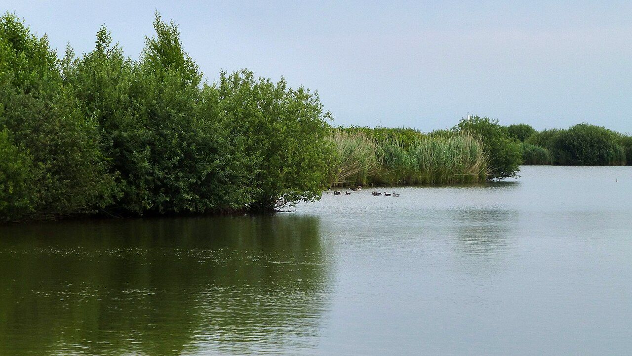 Wulveskuhlen