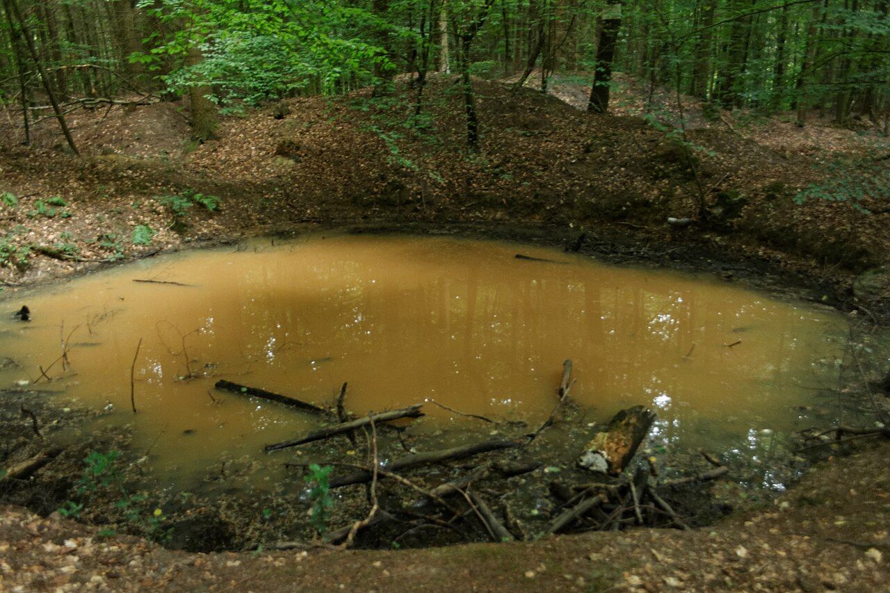 Bergbauwüstungszone im Eschweiler Wald