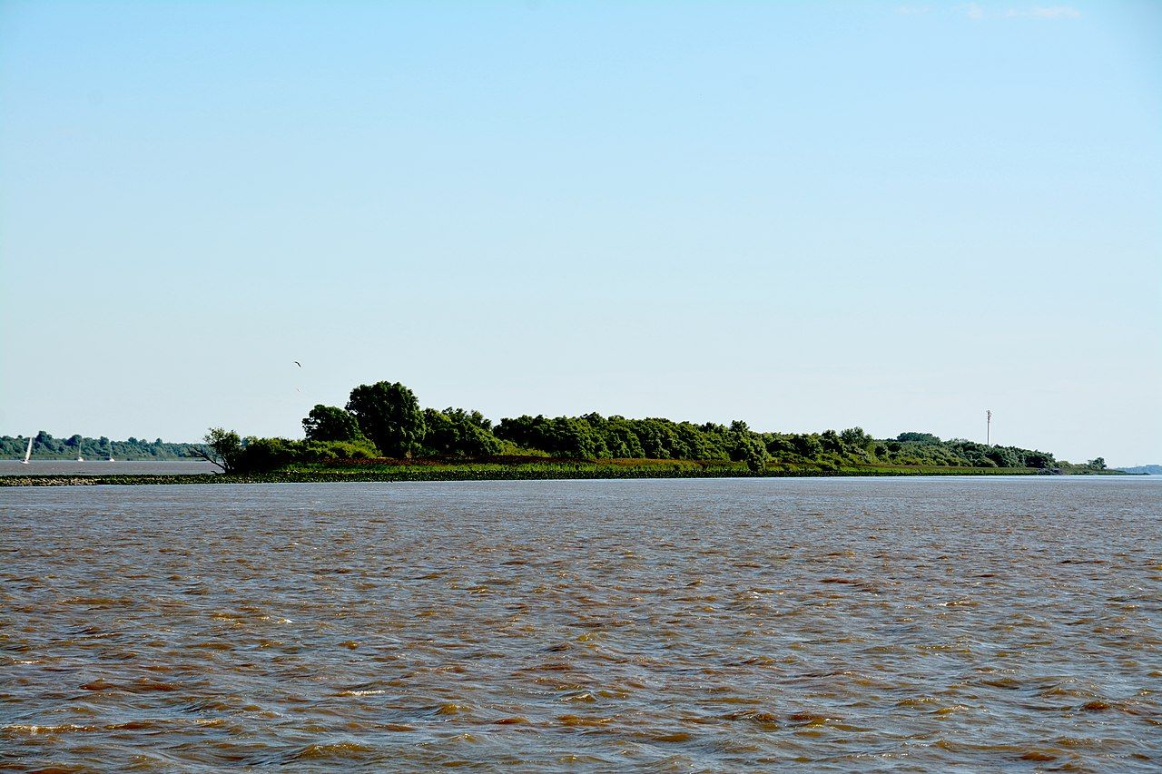 Rhinplate und Elbufer südlich Glückstadt