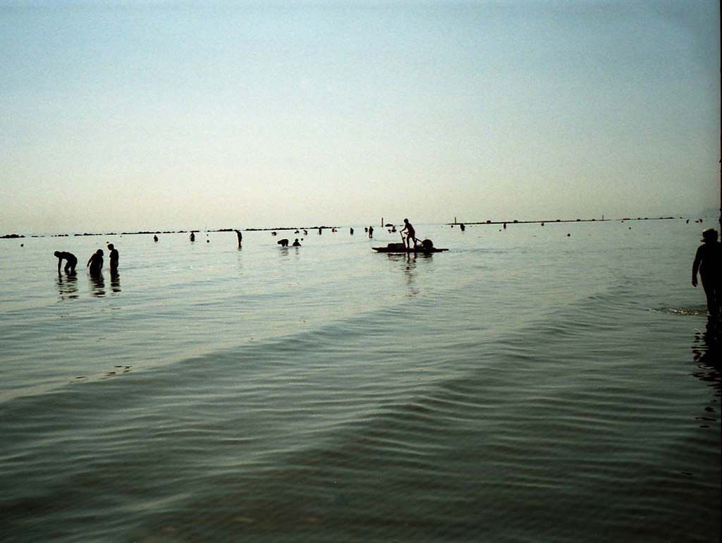 Plage IT-C