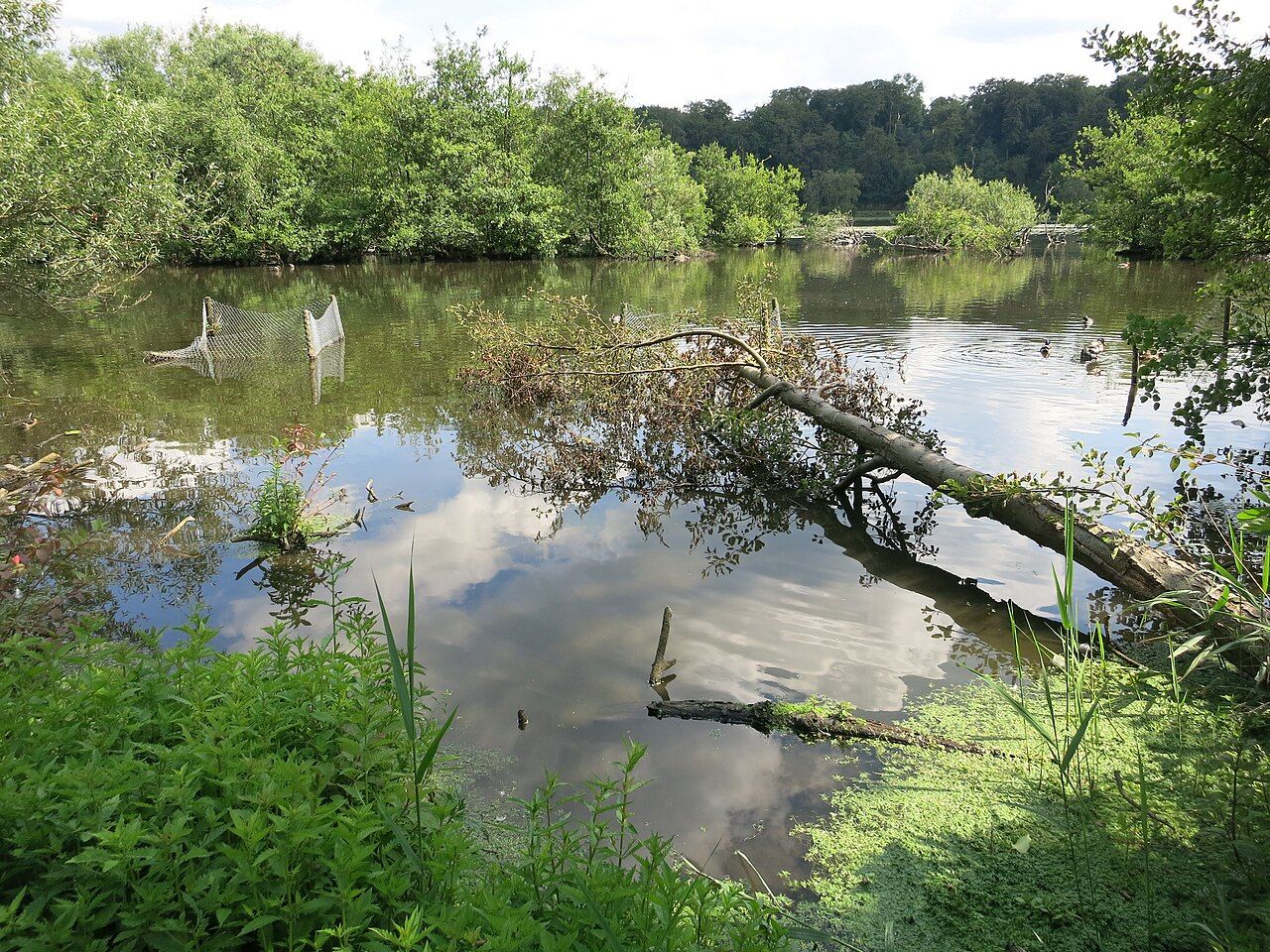 Vogelschutzgebiet Heisinger Bogen