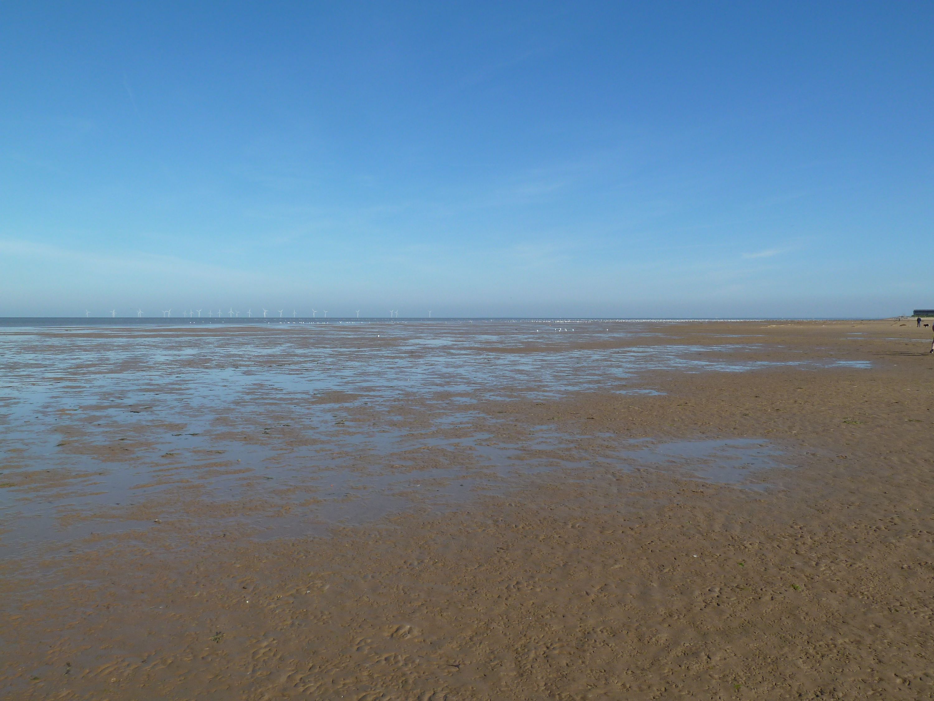 East Hoyle Bank