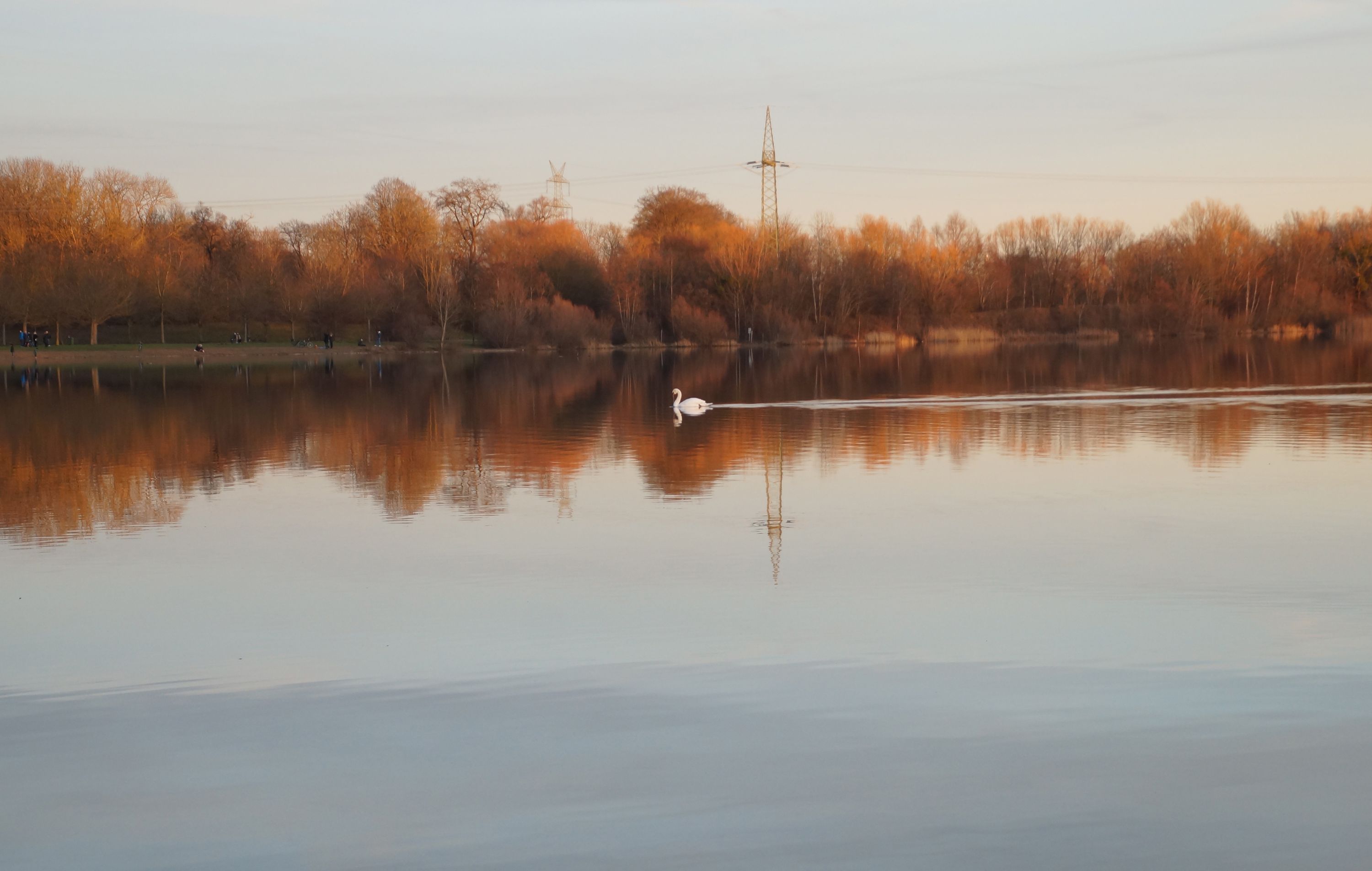 Langwieder See