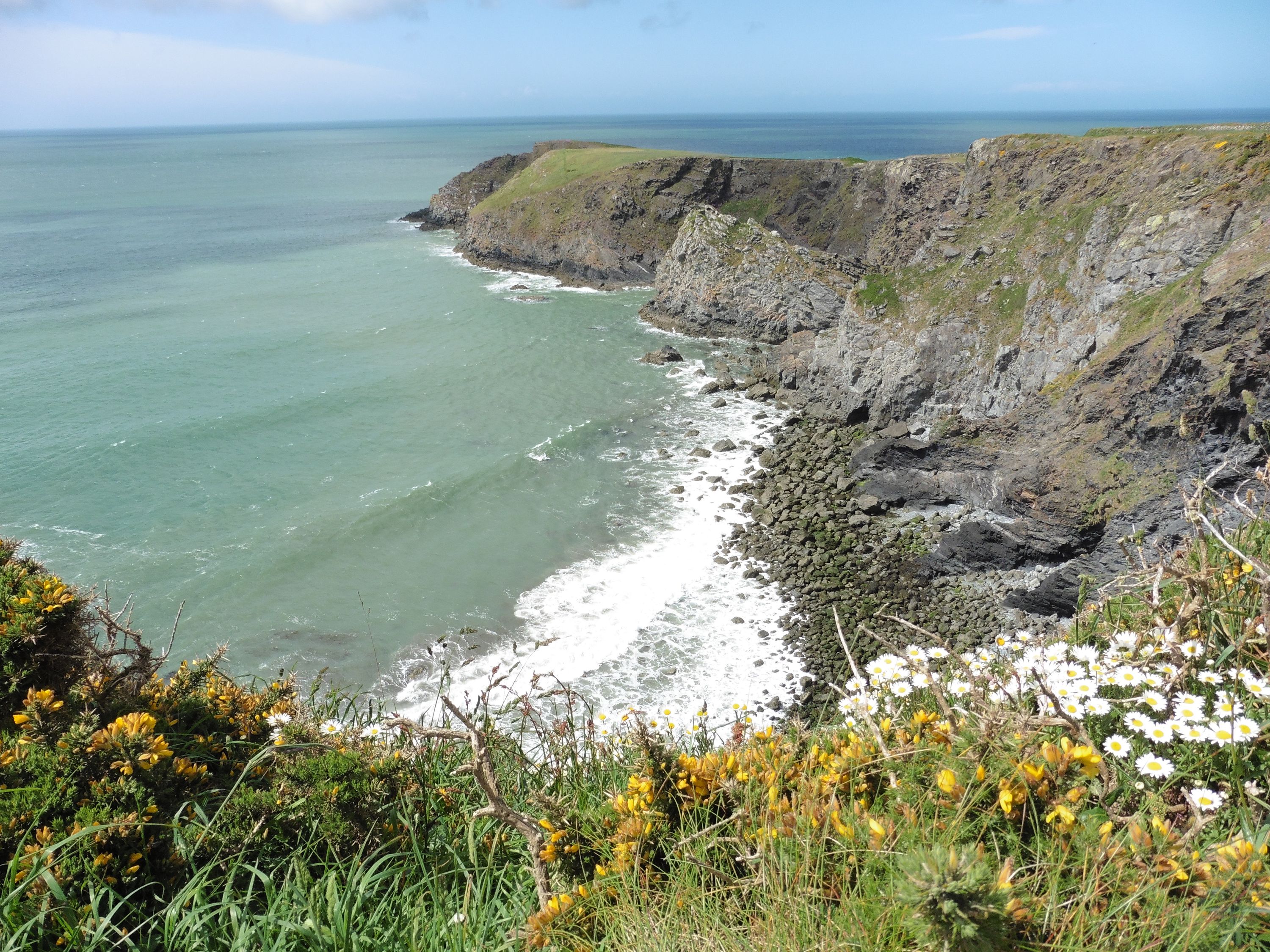 Pwll Whiting