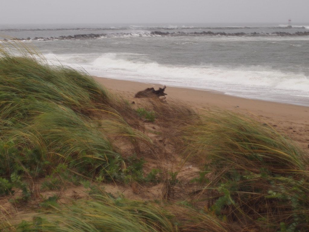 Plum Island Beach