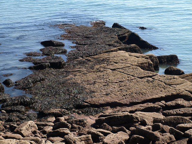 Maidencombe Beach