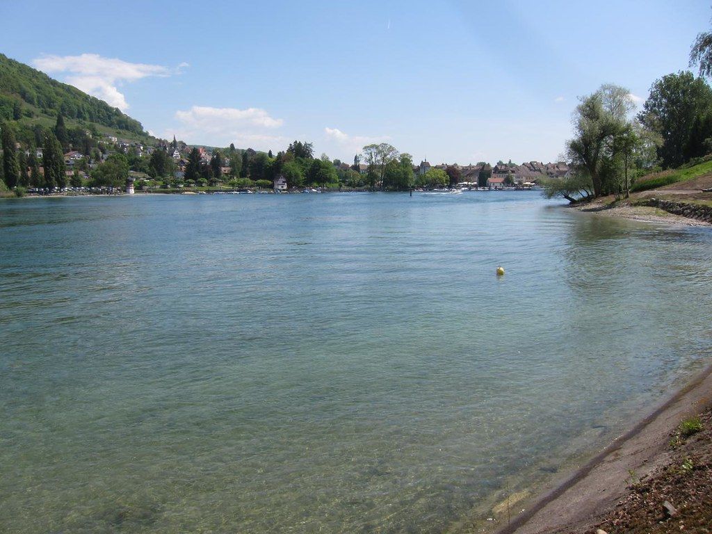 Rhiibadi