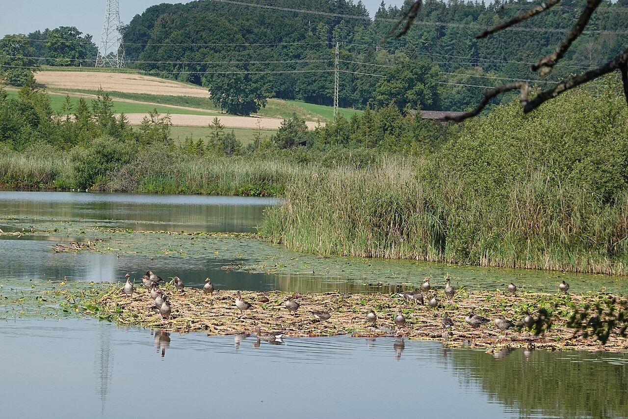 Maisinger See