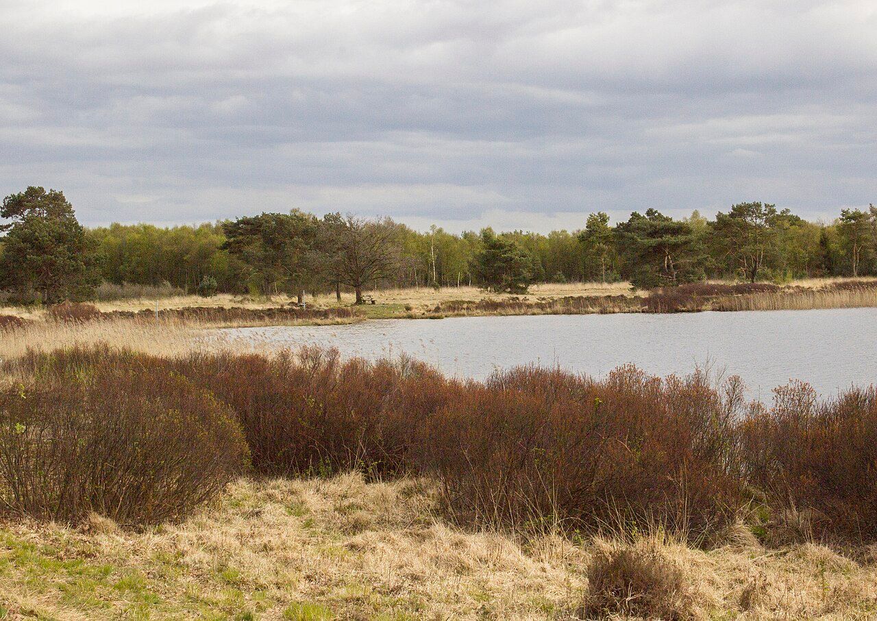 Wollingster See und Randmoore