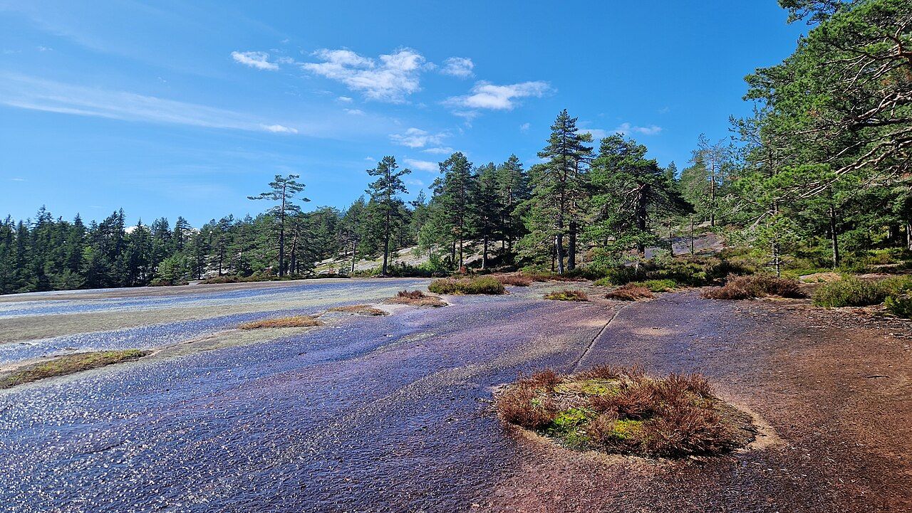 Blåfjell naturreservat