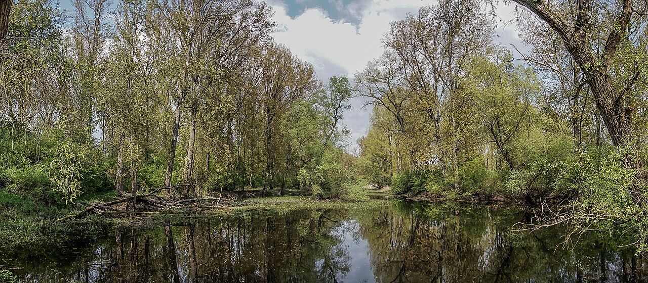 Flotzgrün