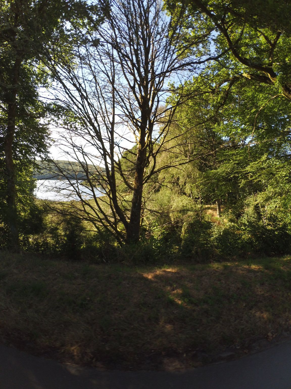 Beach Beaumont-du-Lac