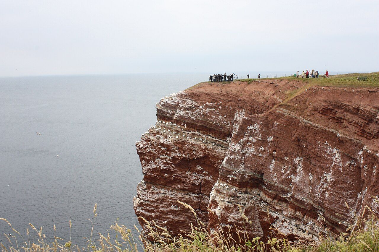 Lummenfelsen der Insel Helgoland